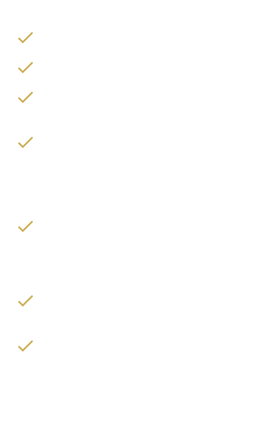 Updated-LeapCon Price Diamond (text)